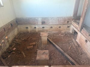 wfloors 3